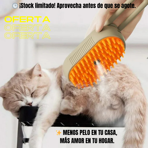 Cepillo de Vapor Con Mango 3 En 1